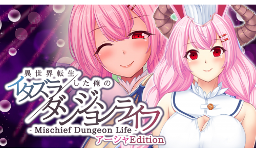 - Mischief Dungeon Life - 異世界転生した俺のイタズラダンジョンライフ　アーシャEdition for Nintendo Switch - Mericube.uno