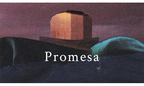 Promesa for Nintendo Switch - Mericube.uno